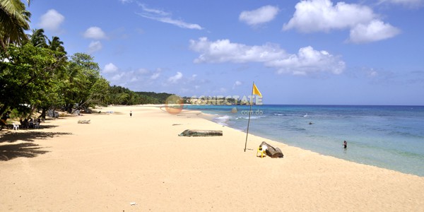 Día Mundial del Clima