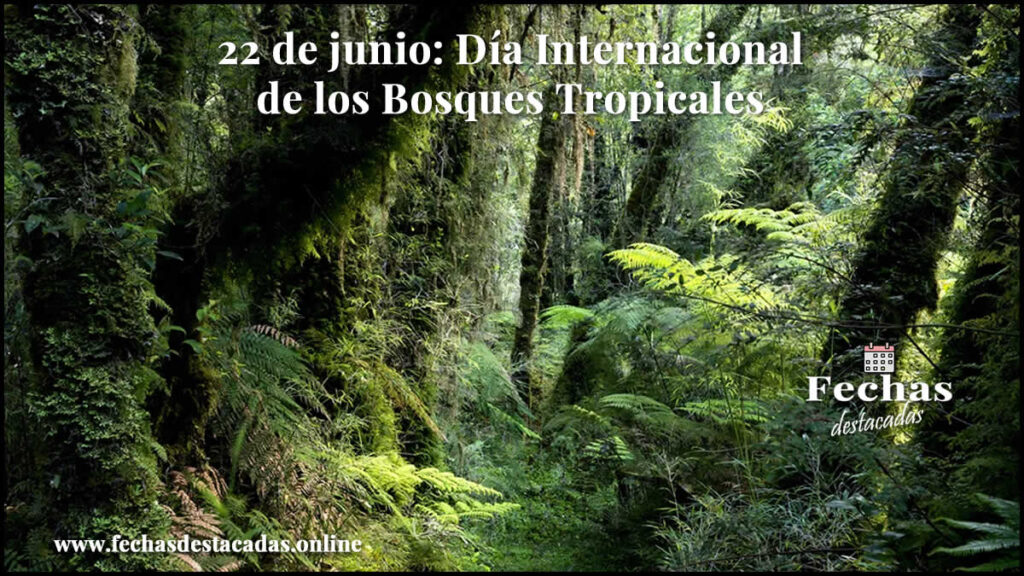 22 de Junio Día Internacional de los Bosques Tropicales