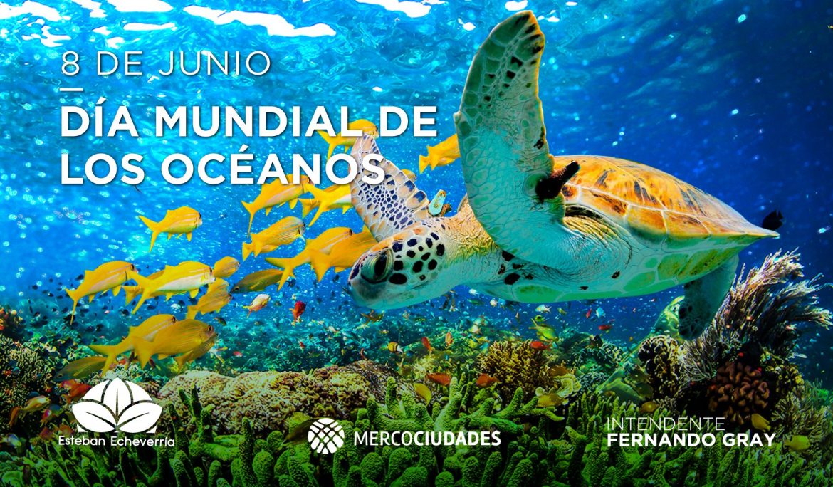 08 junio Día Mundial de los Océanos