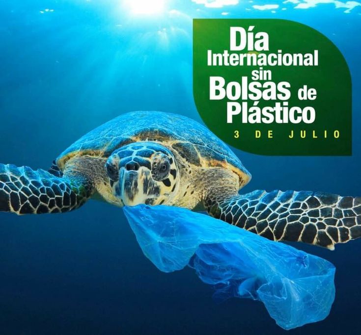 03 de julio Día Mundial sin Bolsas de Plástico. 